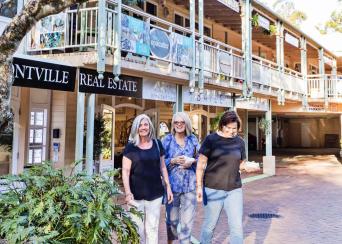 Sunshine Coast Hinterland Highlights Tour: Discove
