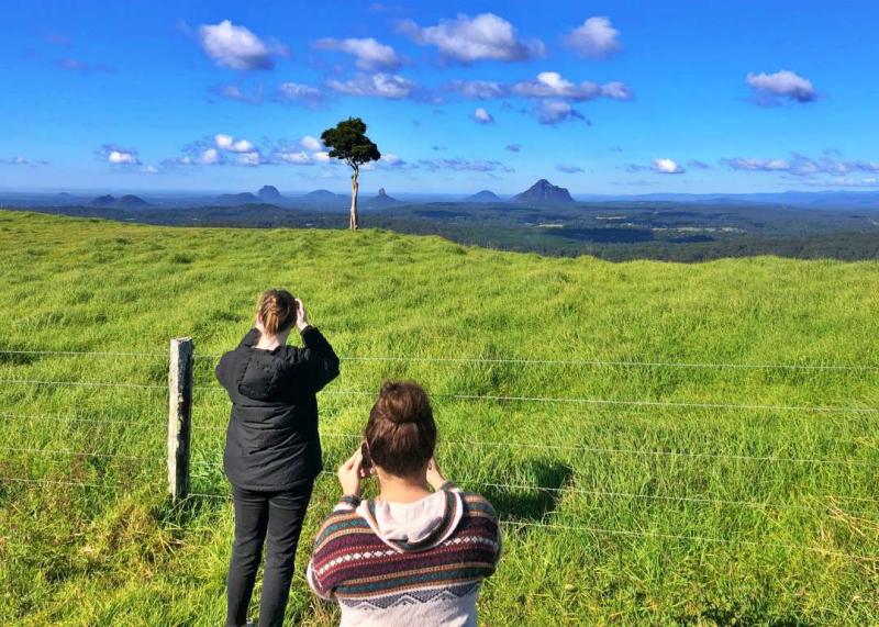 sunshine-coast-hinterland-highlights-tour-discove-2