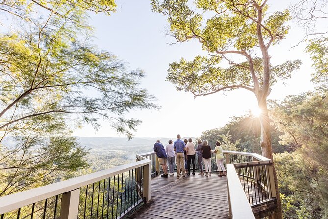 sunshine-coast-hinterland-highlights-tour-discove-3