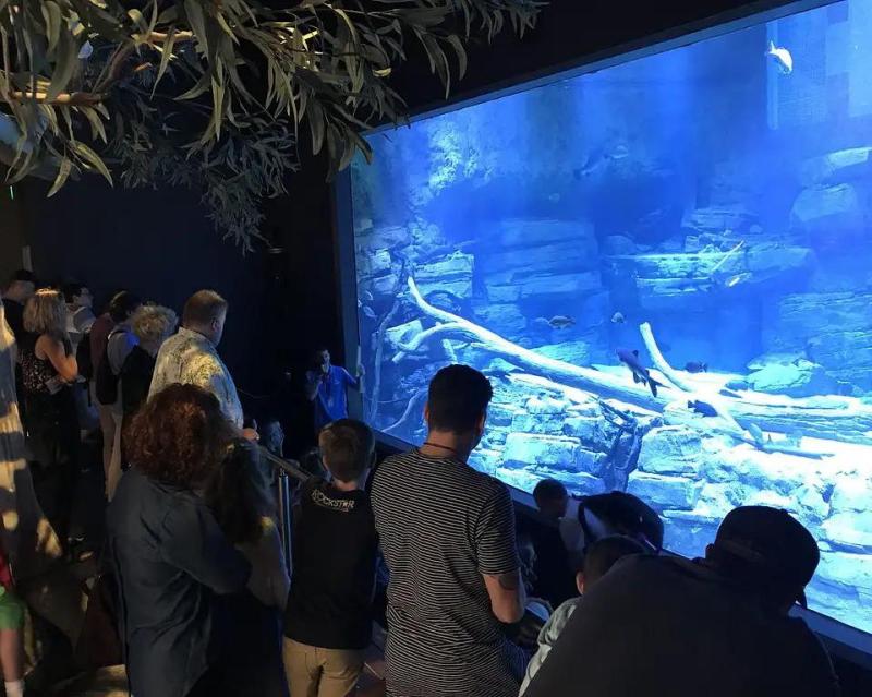 aquarium-by-twilight-guided-tour-1