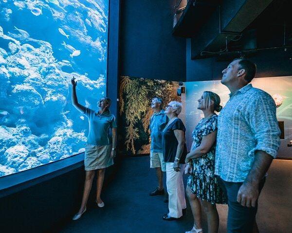 aquarium-by-twilight-guided-tour-2