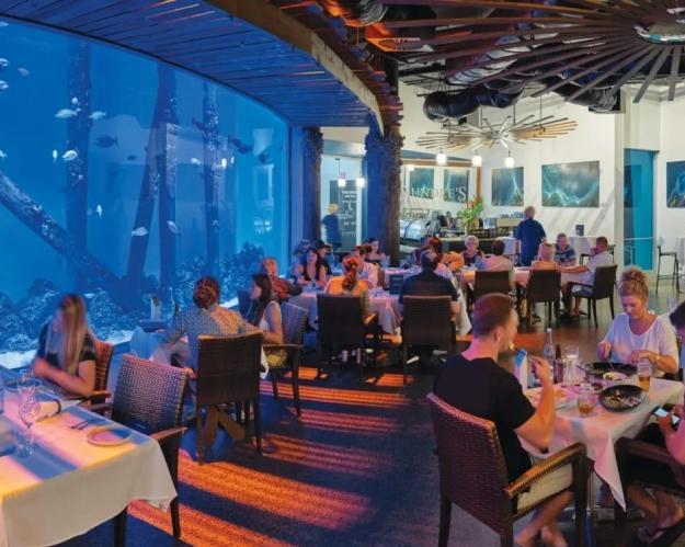 aquarium-by-twilight-guided-tour-5