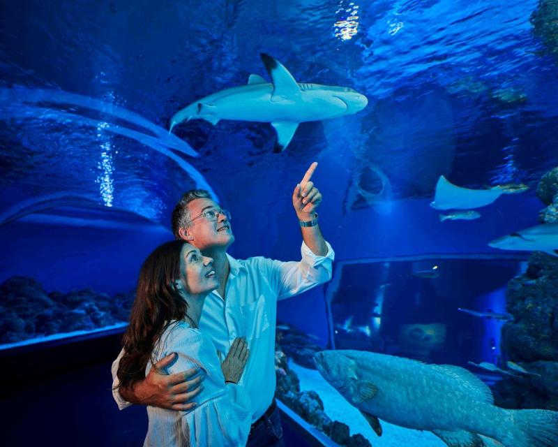 night-at-the-aquarium-guided-nocturnal-tour-2