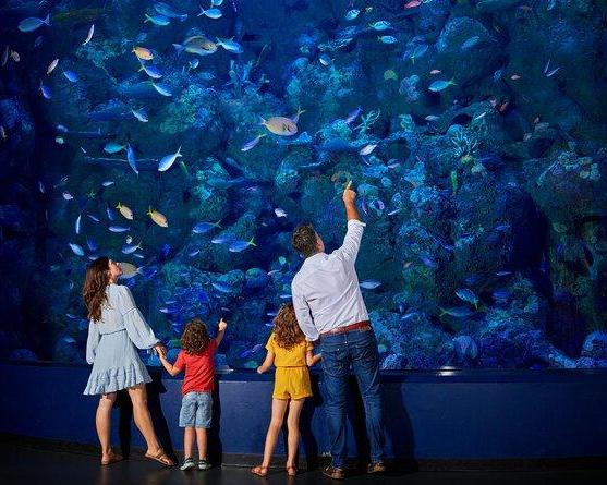 night-at-the-aquarium-guided-nocturnal-tour-3