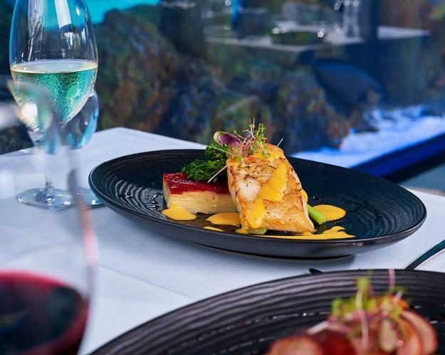 night-at-the-aquarium-guided-nocturnal-tour-4