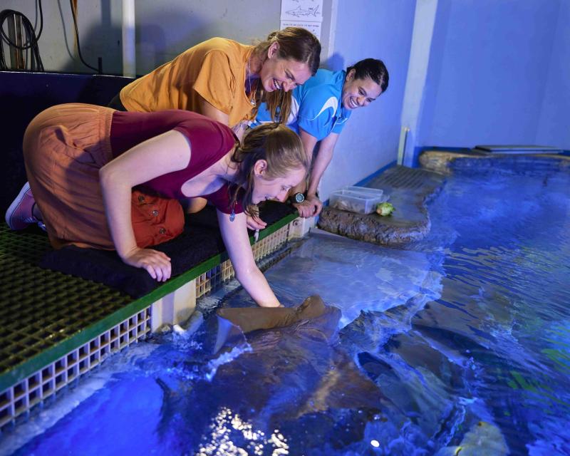 marine-life-encounter-1