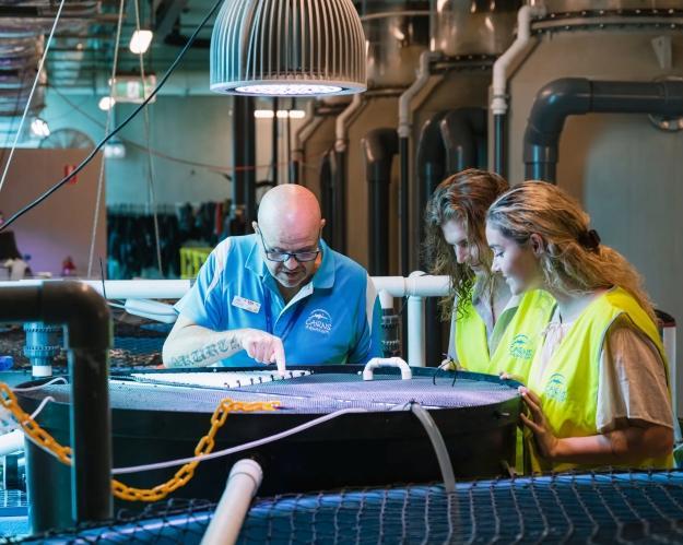 marine-life-encounter-2