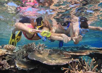 Calypso Outer Great Barrier Reef Cruise from Port 