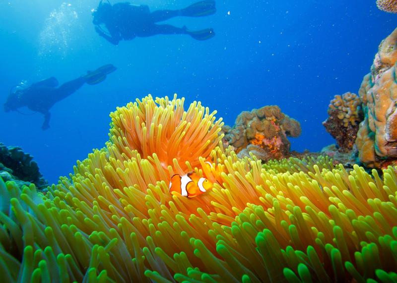 calypso-outer-great-barrier-reef-cruise-from-port-3
