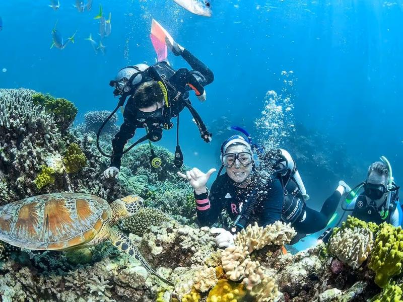 cairns-in-2-days-reef-skyrail-kuranda-train-2