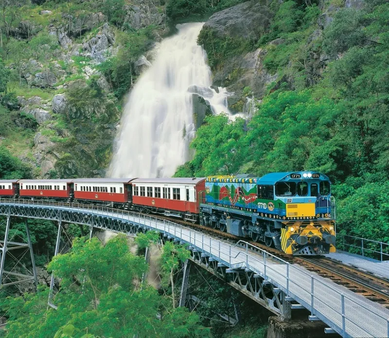 cairns-in-2-days-reef-skyrail-kuranda-train-7