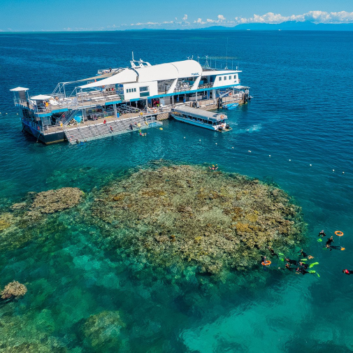 reef-magic-pontoon-outer-great-barrier-reef-1