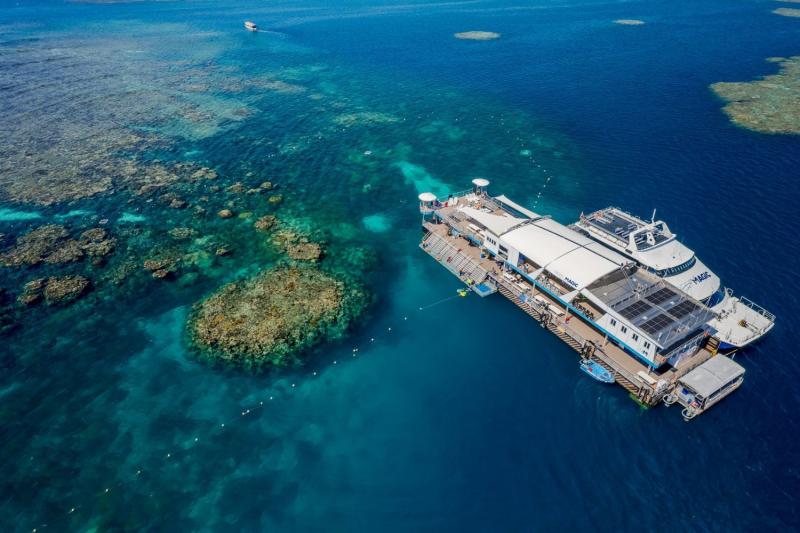 reef-magic-pontoon-outer-great-barrier-reef-5
