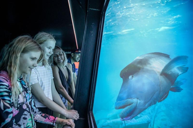 reef-magic-including-10-minute-heli-flight-4