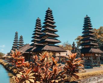 Bedugul & Ubud Day Tour