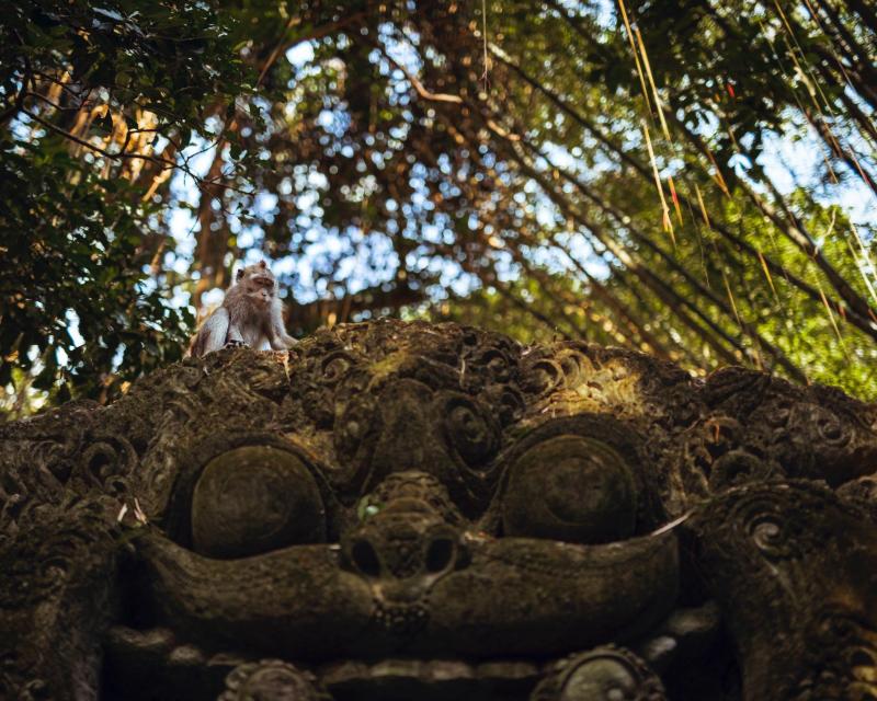 best-of-ubud-with-jungle-swing-2