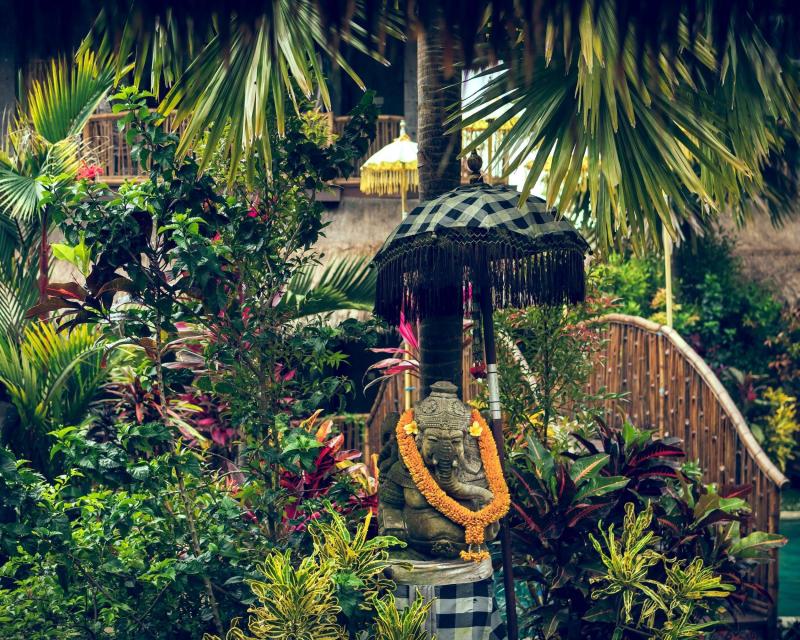 countryside-safari-by-vintage-vw-3