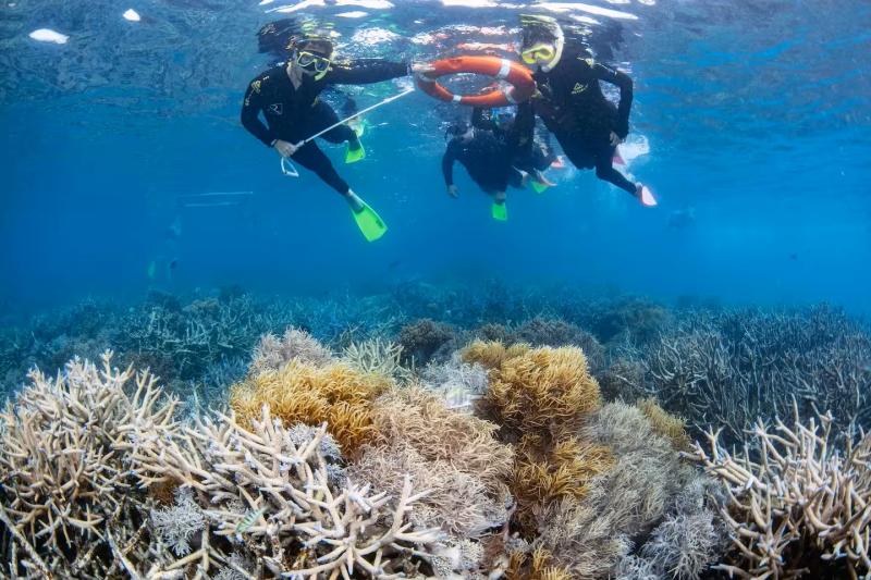 great-barrier-reef-adventure-with-great-adventures-3