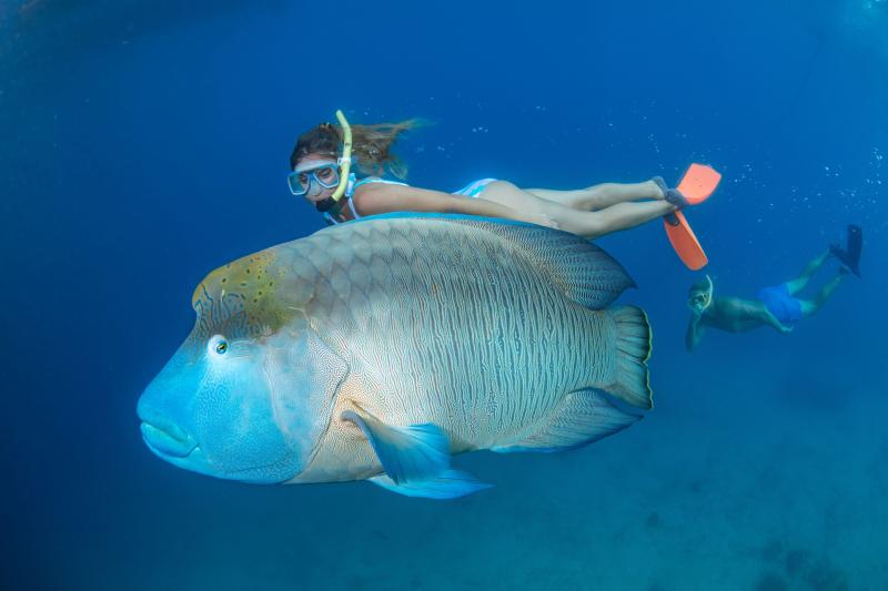 great-barrier-reef-adventure-with-great-adventures-5