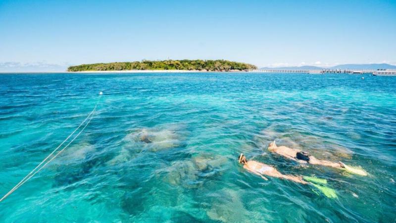 green-island-great-barrier-reef-adventure-from-c-3