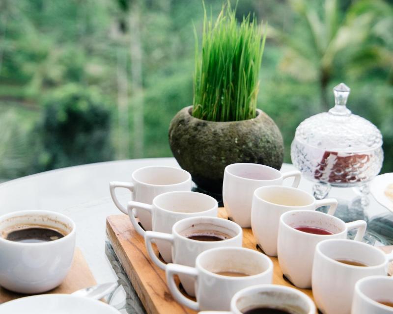 full-day-luwak-trail-expedition-tandem-2