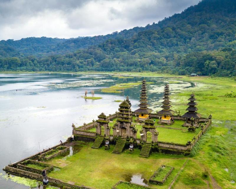 full-day-luwak-trail-expedition-tandem-3