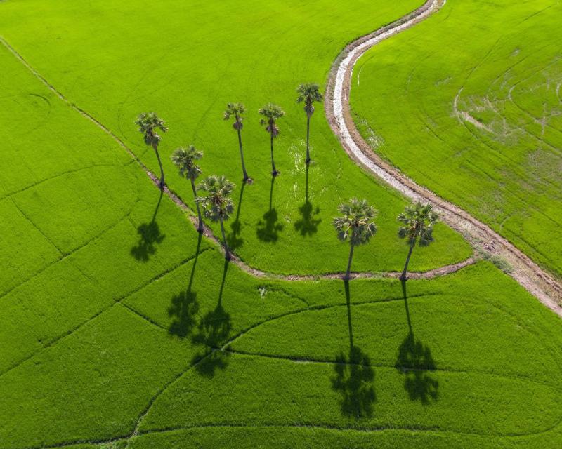 full-day-rural-cycling-2