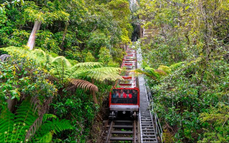 blue-mountains-all-inclusive-signature-day-tour-6