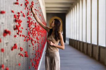 Canberra Colourful Day Trip from Sydney (Small Gro