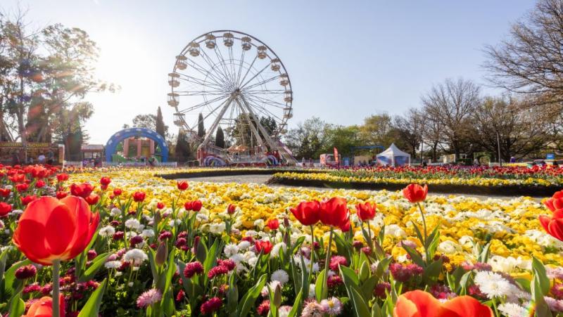 canberra-colourful-day-trip-from-sydney-small-gro-6
