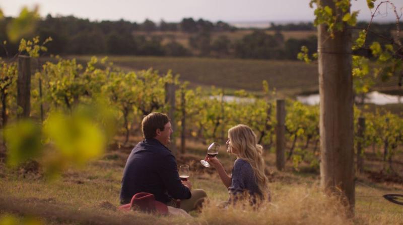 hunter-valley-signature-wine-tour-from-sydney-2