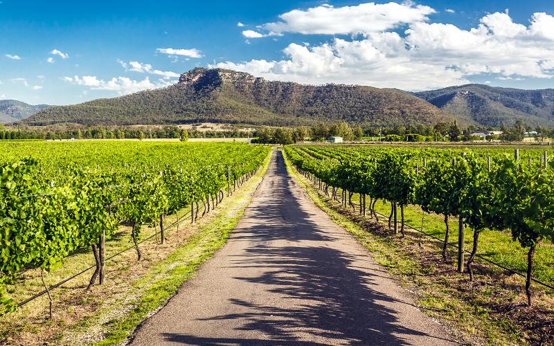 hunter-valley-signature-wine-tour-from-sydney-3