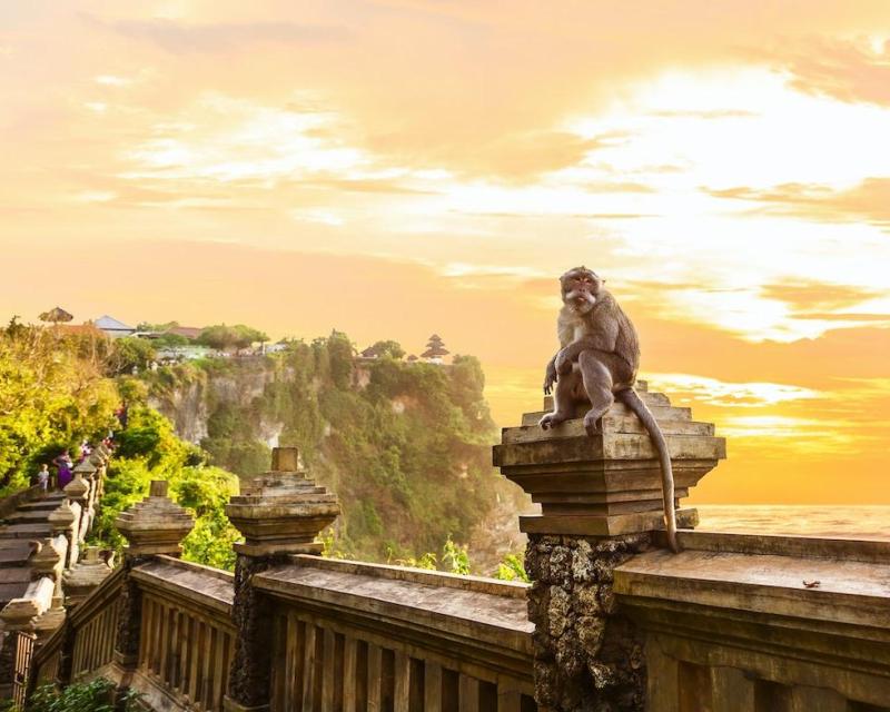 volkswagen-uluwatu-safari-3