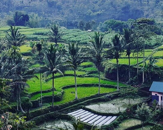lombok-hills-cycling-tour-down-the-hills-of-tete-2