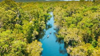 Private Noosa Everglades Eco Cruise & Highlights T