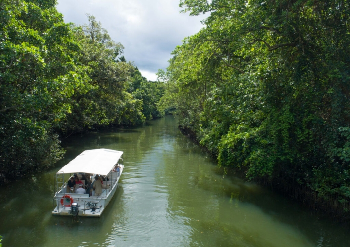 world-heritage-highlights-departing-cairns-2