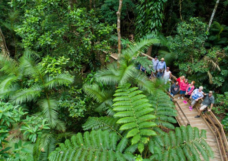 world-heritage-highlights-departing-cairns-4