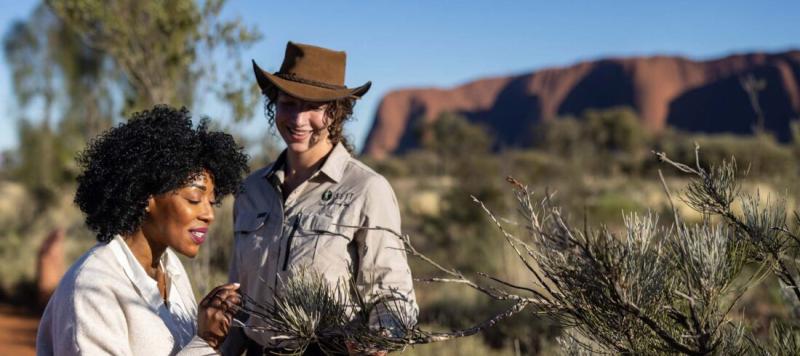 seit-uluru-highlights-small-group-tour-1