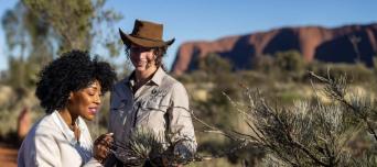 SEIT Uluru Highlights (Small Group Tour)