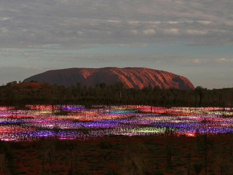 uluru-sunrise-field-of-light-4