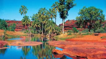 Palm Valley Outback Safari by 4WD Full Day