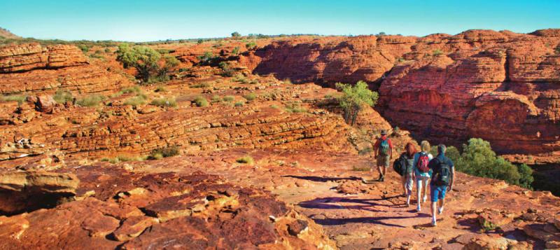 palm-valley-outback-safari-by-4wd-full-day-3