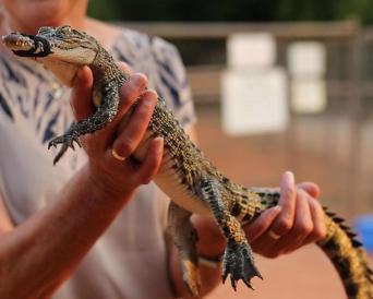 3-in-1 Iconic Broome Afternoon Tour