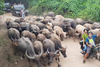 Full Day Hanoi City and Countryside on Vintage Mot