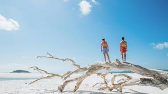 Whitehaven Beach and Hill Inlet : Chill and Grill