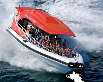 Adventure Rottnest Boat Tour with Return Ferry - f