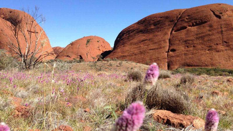 kata-tjuta-valley-of-the-winds-5