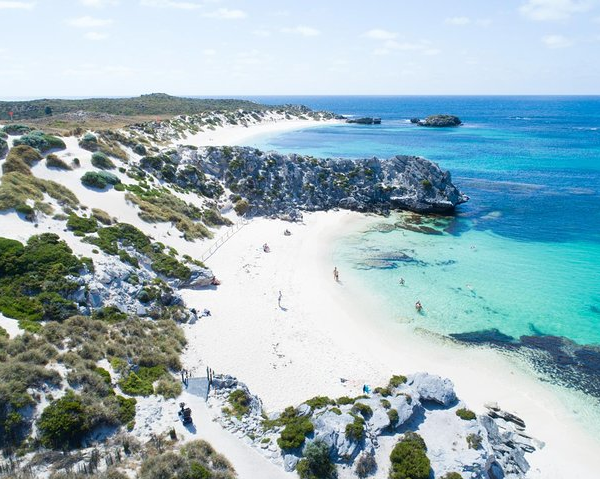 experience-rottnest-with-ferry-return-bike-hire-1