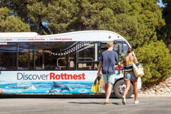 Discover Rottnest Ferry & Bus Tour from Freman