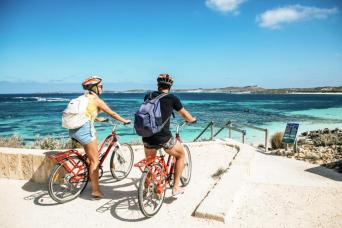 Experience Rottnest with Ferry & Bike Hire